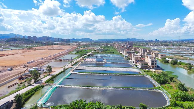 高效污水物化塘處理現場(chǎng) 劉成強攝.jpg 高效污水物化塘處理現場(chǎng) 劉成強攝.jpg